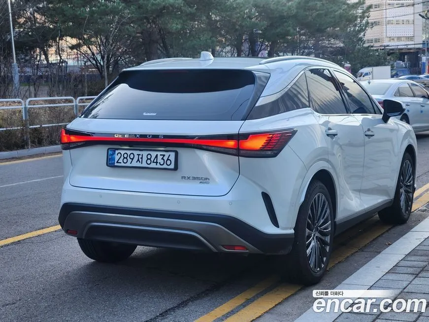 Lexus RX 2024 из KR, фото 6