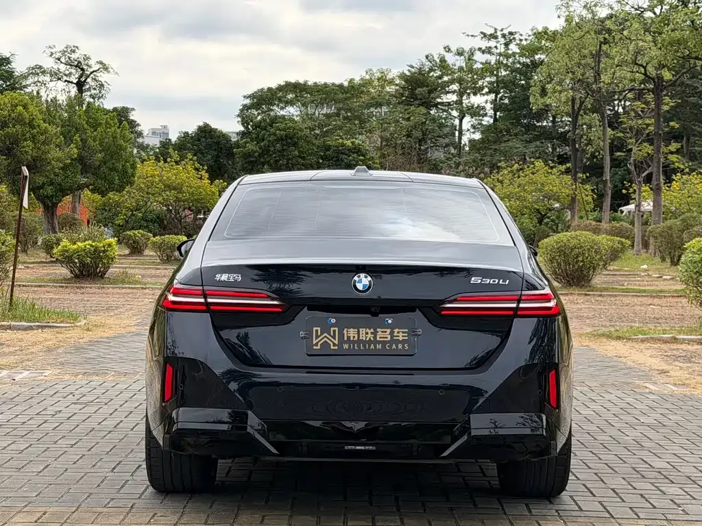 BMW 5 Series 2025 из CN, фото 7