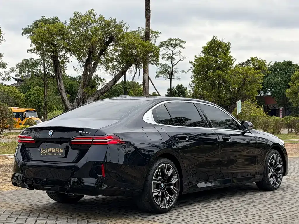 BMW 5 Series 2025 из CN, фото 8