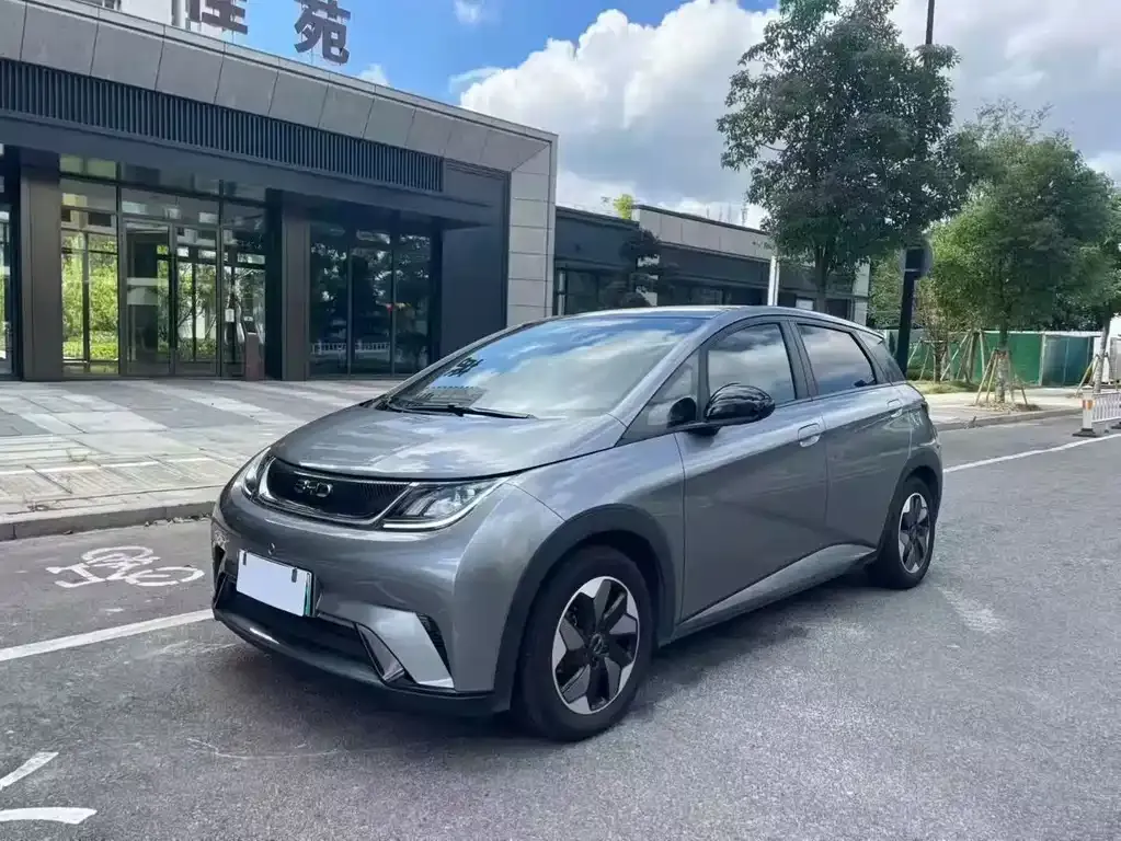 BYD Dolphin 2024 из CN, фото 1