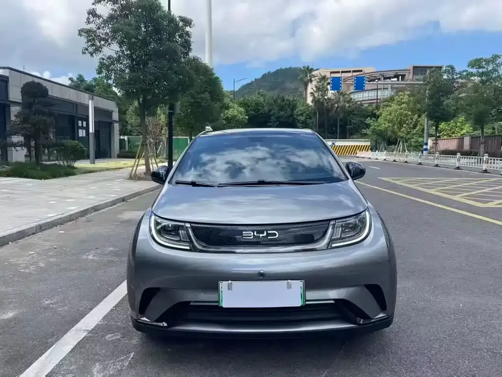 BYD Dolphin 2024 из CN, фото 2