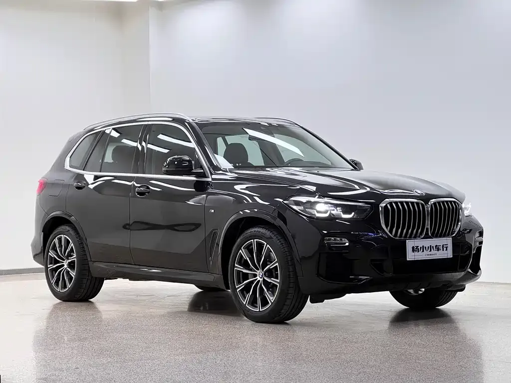 BMW X5 (Import) 2021 из CN, фото 3