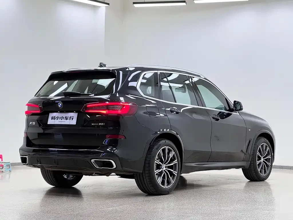 BMW X5 (Import) 2021 из CN, фото 5