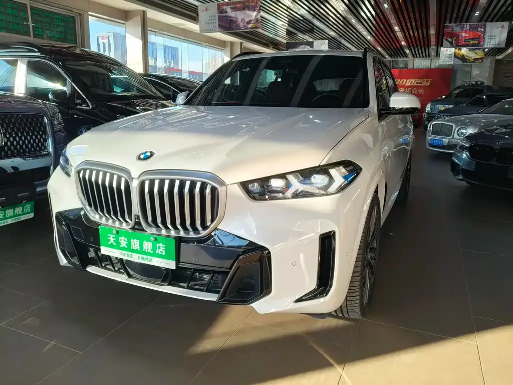 BMW X5 2024 из CN, фото 1