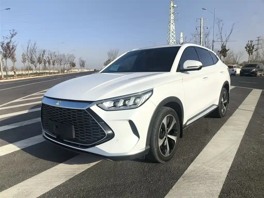 BYD PLUS New Energy 2021 из CN, фото 2