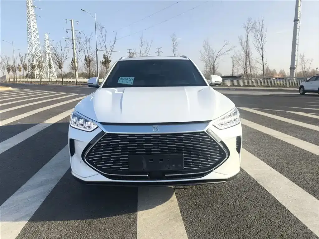 BYD PLUS New Energy 2021 из CN, фото 3