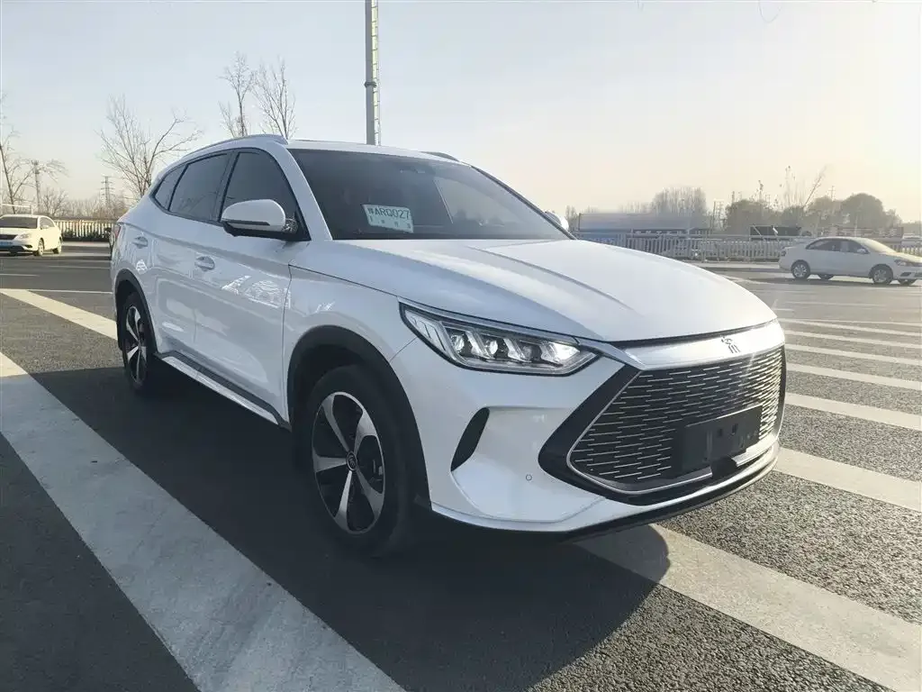 BYD PLUS New Energy 2021 из CN, фото 4