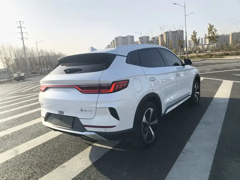 BYD PLUS New Energy 2021 из CN, фото 7
