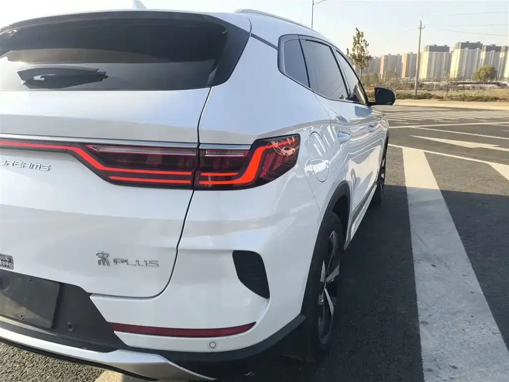 BYD PLUS New Energy 2021 из CN, фото 8