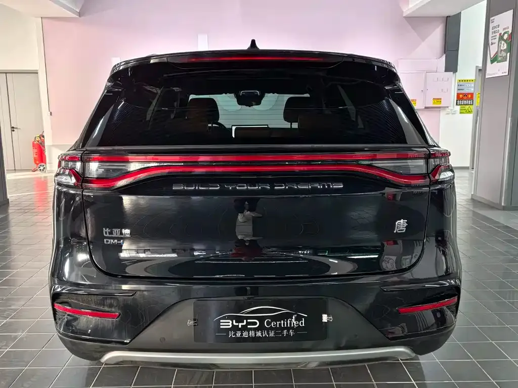 BYD Tang New Energy 2023 из CN, фото 10