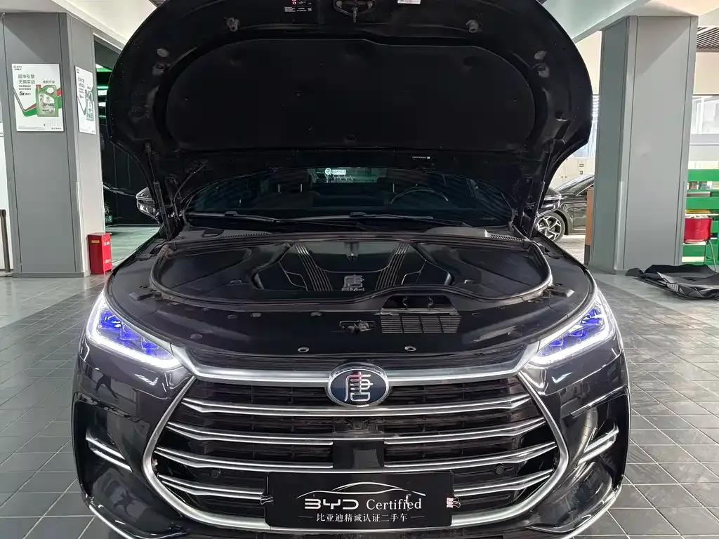 BYD Tang New Energy 2023 из CN, фото 2
