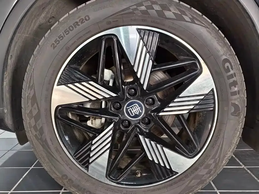 BYD Tang New Energy 2023 из CN, фото 4