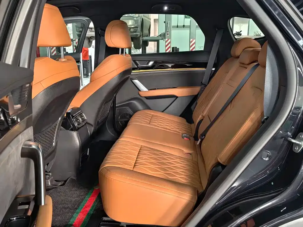 BYD Tang New Energy 2023 из CN, фото 6