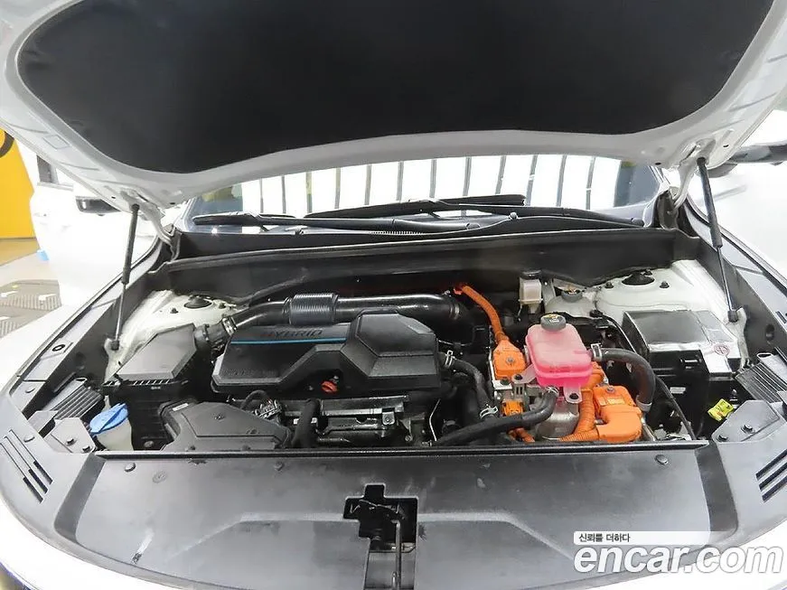 Kia Sorento 2023 из KR, фото 6