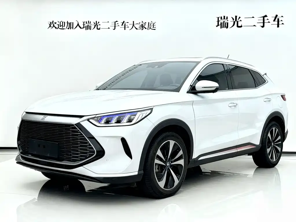 BYD PLUS New Energy 2023 из CN, фото 1