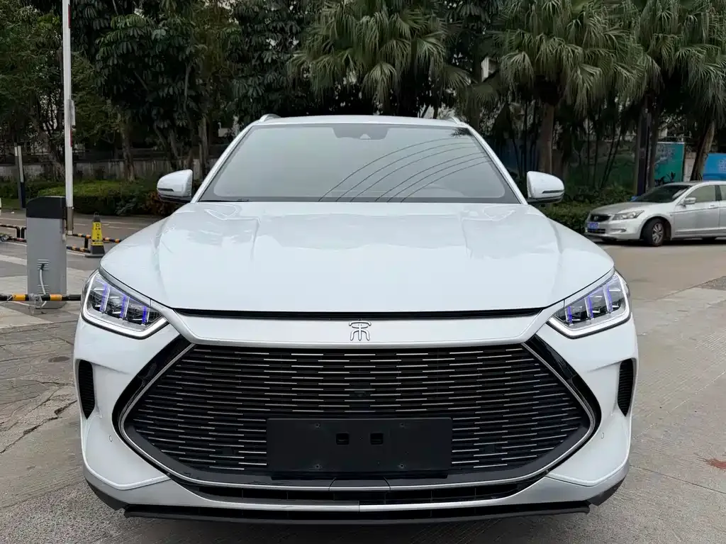 BYD PLUS New Energy 2023 из CN, фото 3