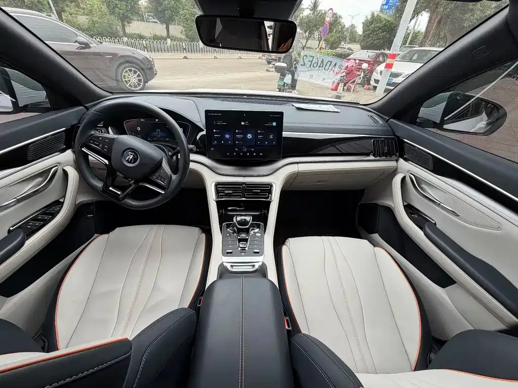 BYD PLUS New Energy 2023 из CN, фото 6