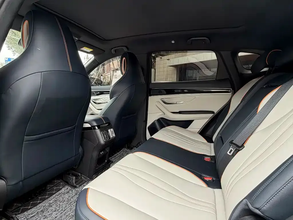 BYD PLUS New Energy 2023 из CN, фото 7