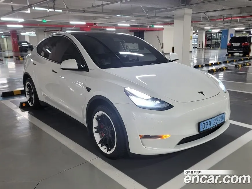 Tesla Model Y — фото 1