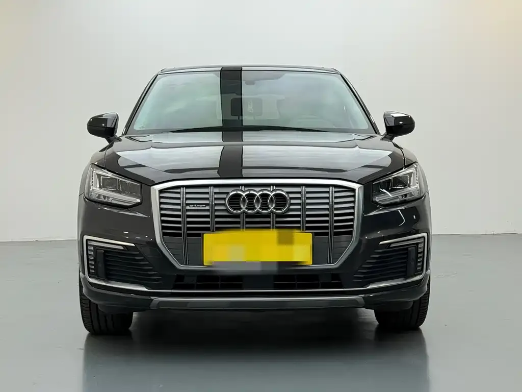 Audi Q2L e-tron 2021 из CN, фото 2