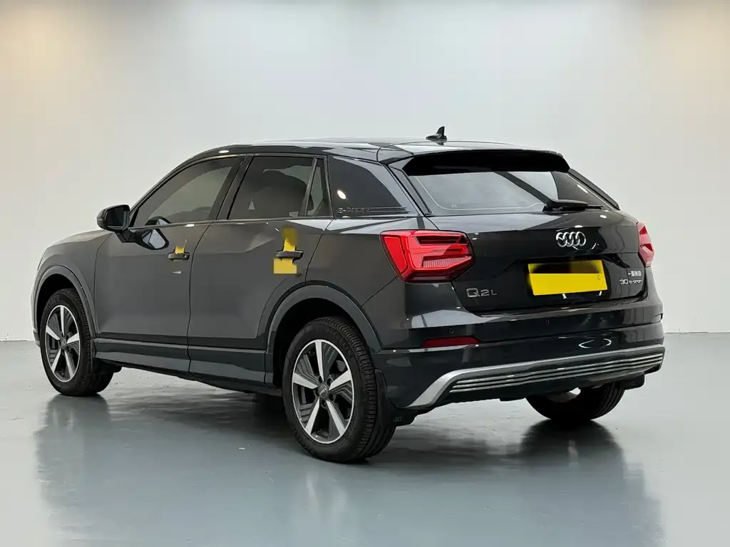 Audi Q2L e-tron 2021 из CN, фото 6
