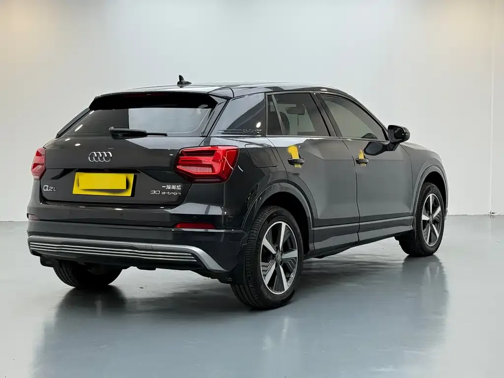 Audi Q2L e-tron 2021 из CN, фото 7