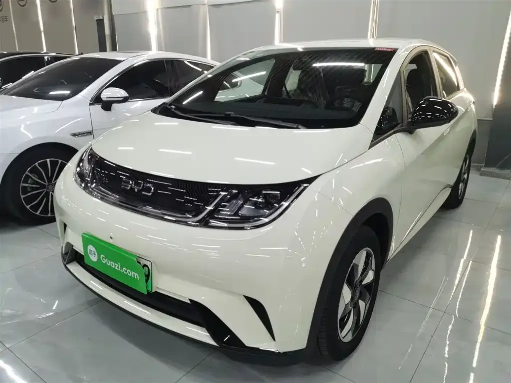 BYD Dolphin 2025 из CN, фото 1