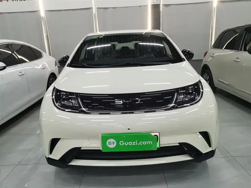 BYD Dolphin 2025 из CN, фото 3