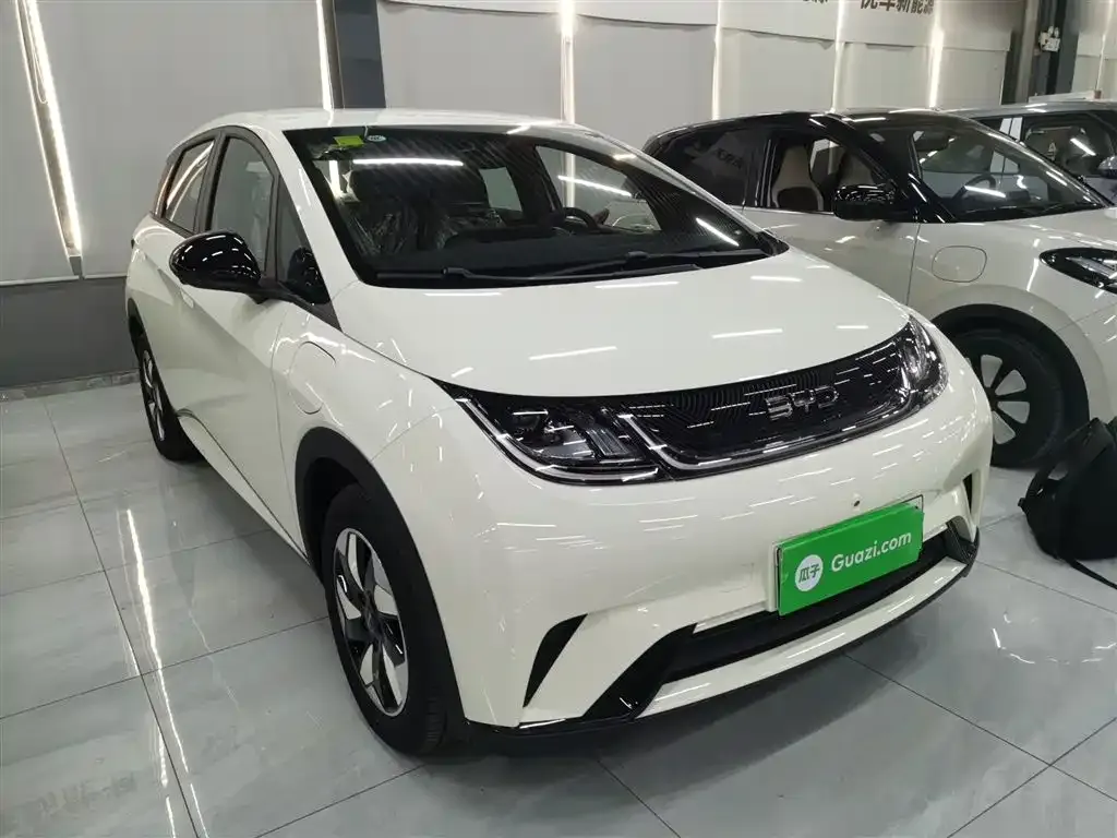 BYD Dolphin 2025 из CN, фото 4