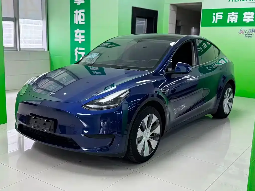 Tesla Model Y — фото 1