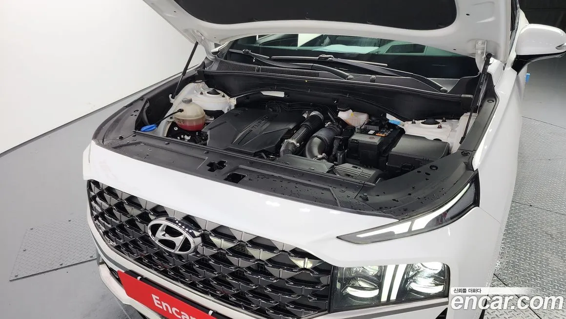 Hyundai Santafe 2021 из KR, фото 6
