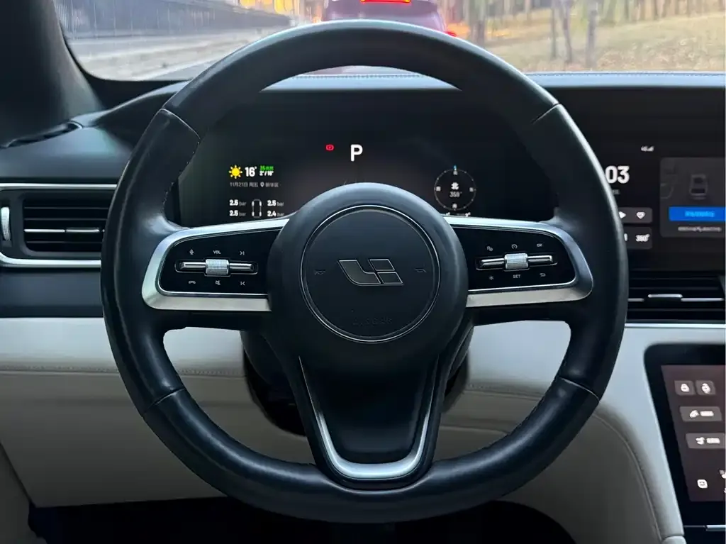 Li Auto ONE 2022 из CN, фото 7