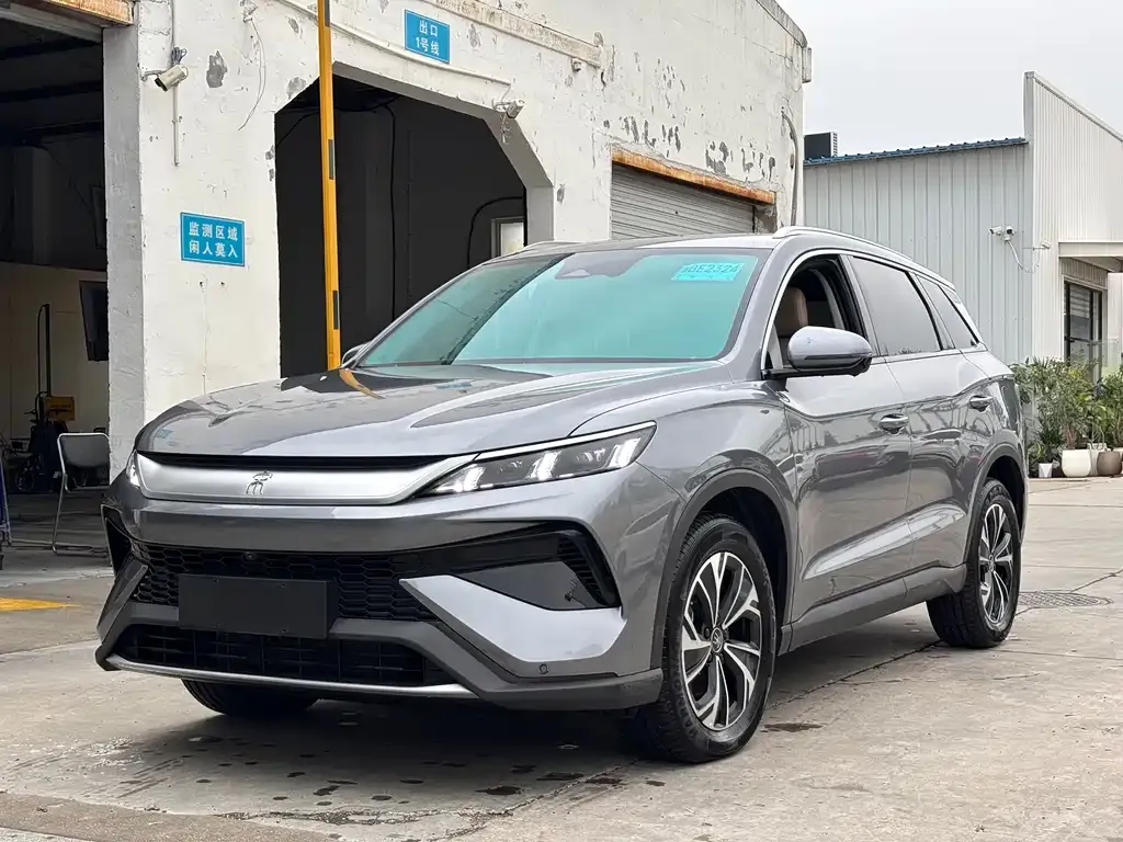 BYD Pro New Energy 2024 из CN, фото 1