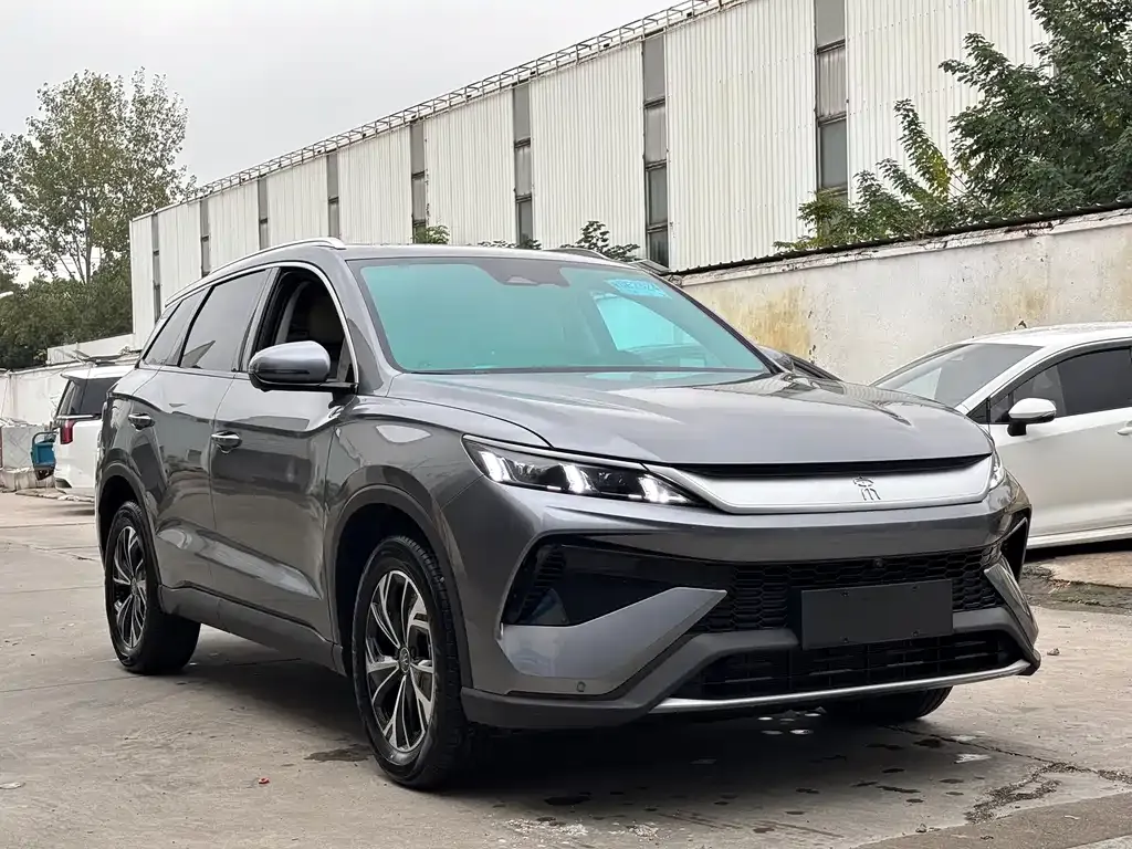 BYD Pro New Energy 2024 из CN, фото 2