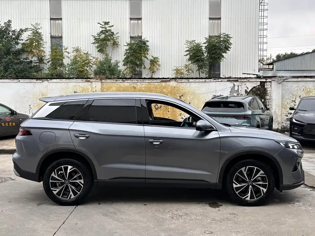 BYD Pro New Energy 2024 из CN, фото 3