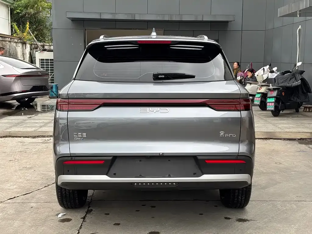 BYD Pro New Energy 2024 из CN, фото 4