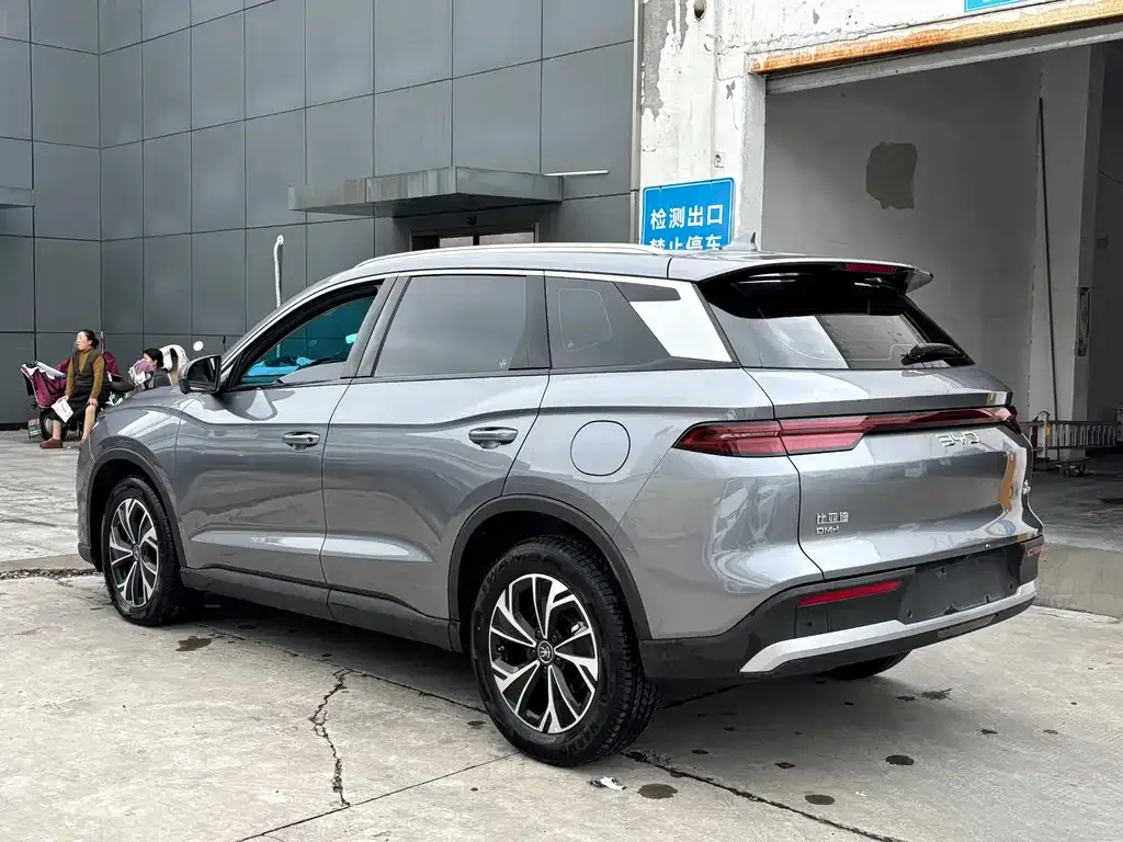 BYD Pro New Energy 2024 из CN, фото 6