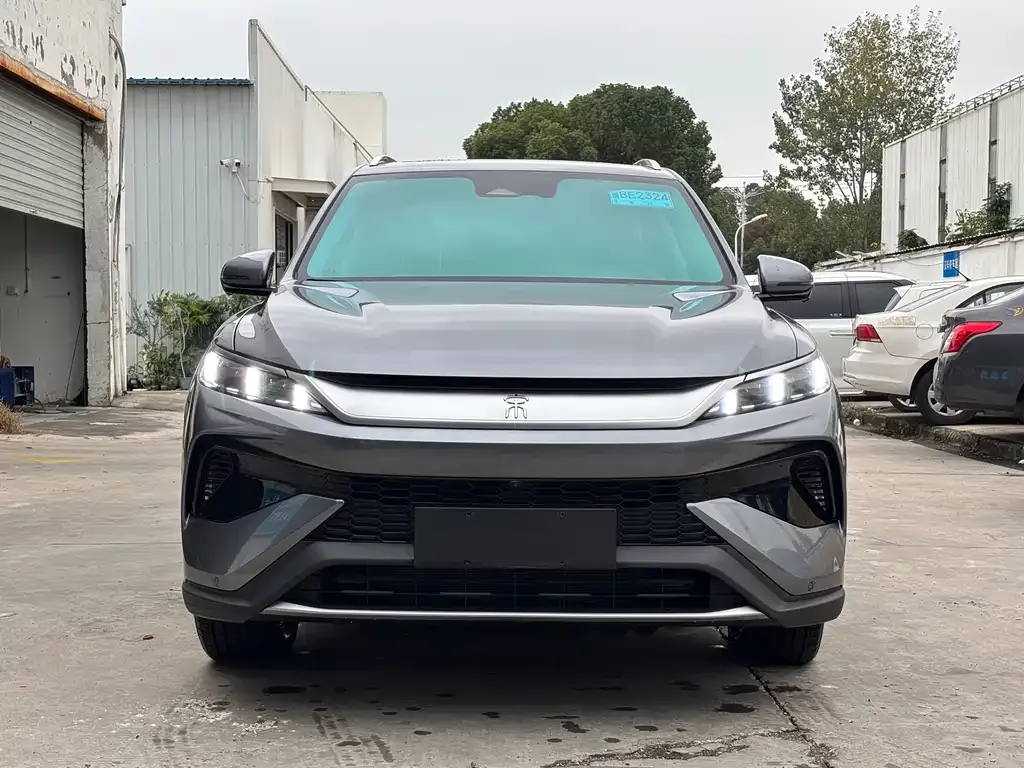 BYD Pro New Energy 2024 из CN, фото 7