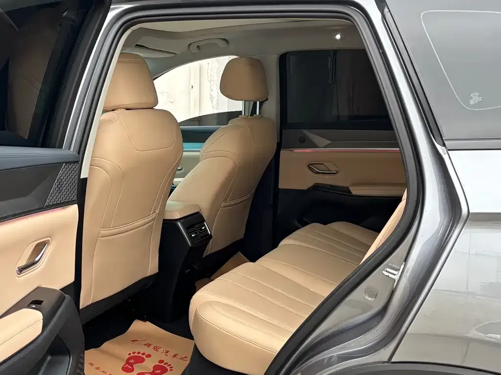 BYD Pro New Energy 2024 из CN, фото 9