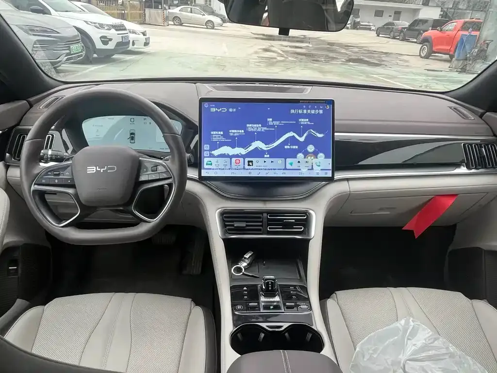 BYD PLUS New Energy 2025 из CN, фото 3