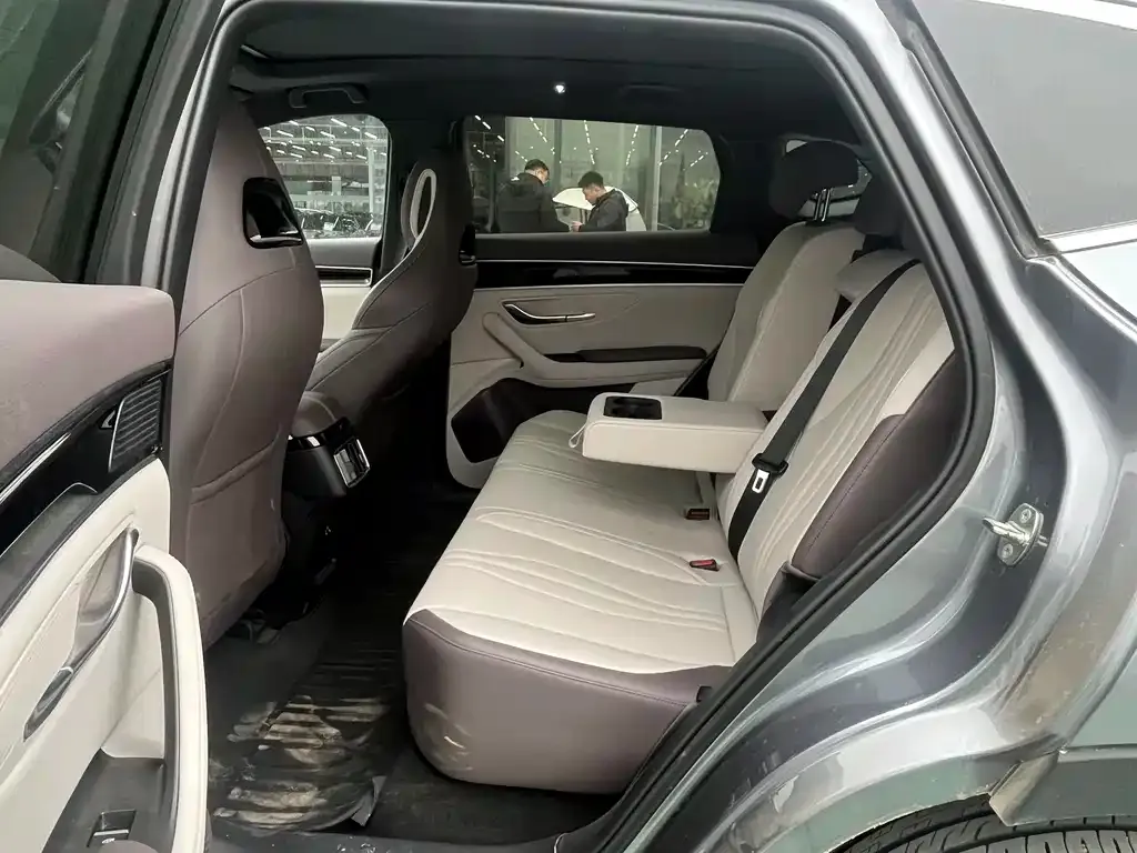 BYD PLUS New Energy 2025 из CN, фото 4