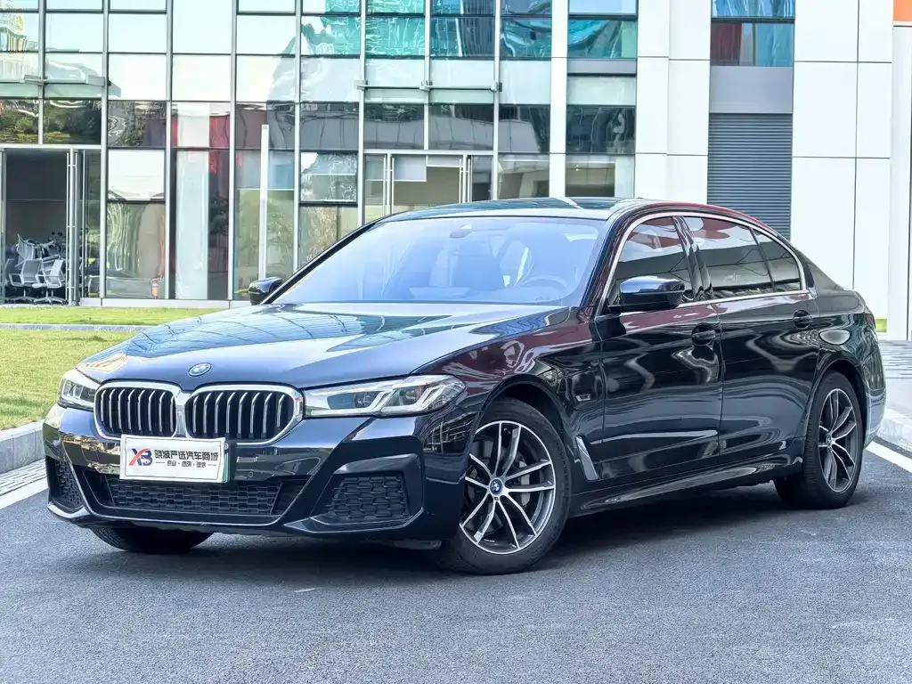 BMW 5 Series New Energy 2022 из CN, фото 1