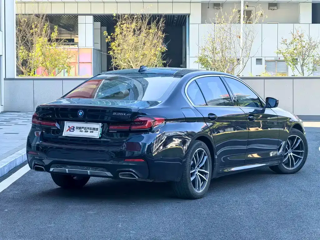 BMW 5 Series New Energy 2022 из CN, фото 2