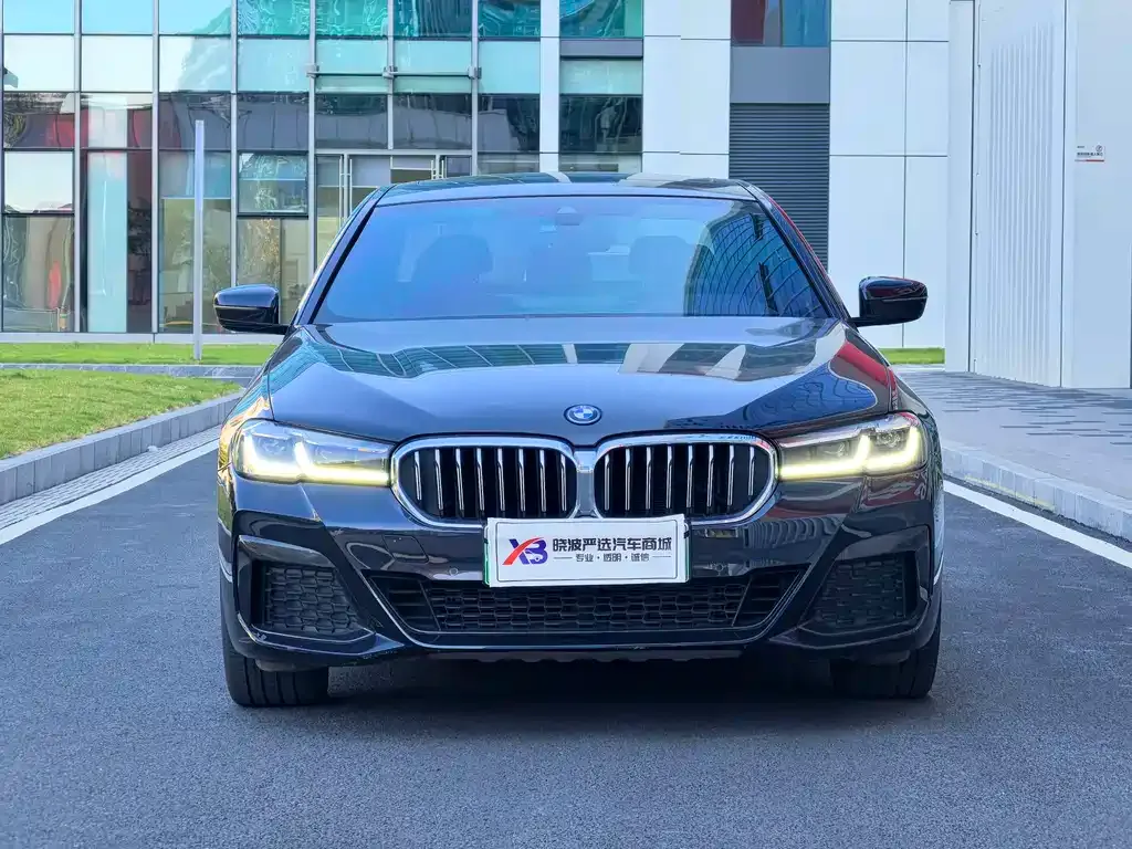 BMW 5 Series New Energy 2022 из CN, фото 4