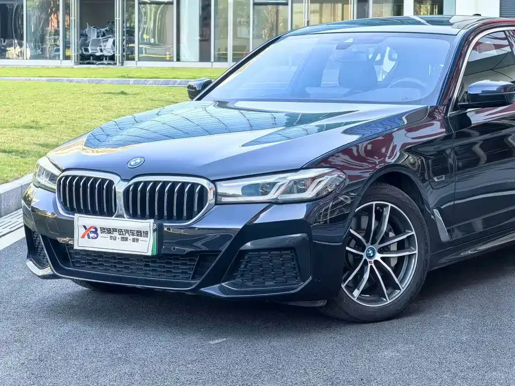 BMW 5 Series New Energy 2022 из CN, фото 8