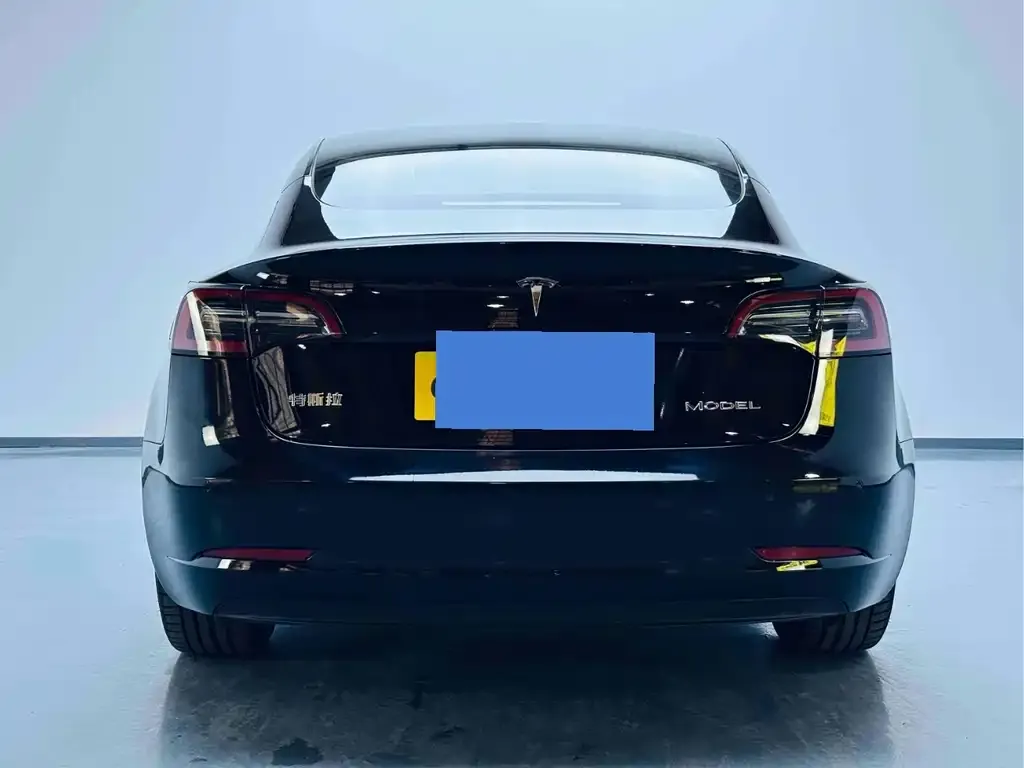 Tesla Model 3 2023 из CN, фото 4