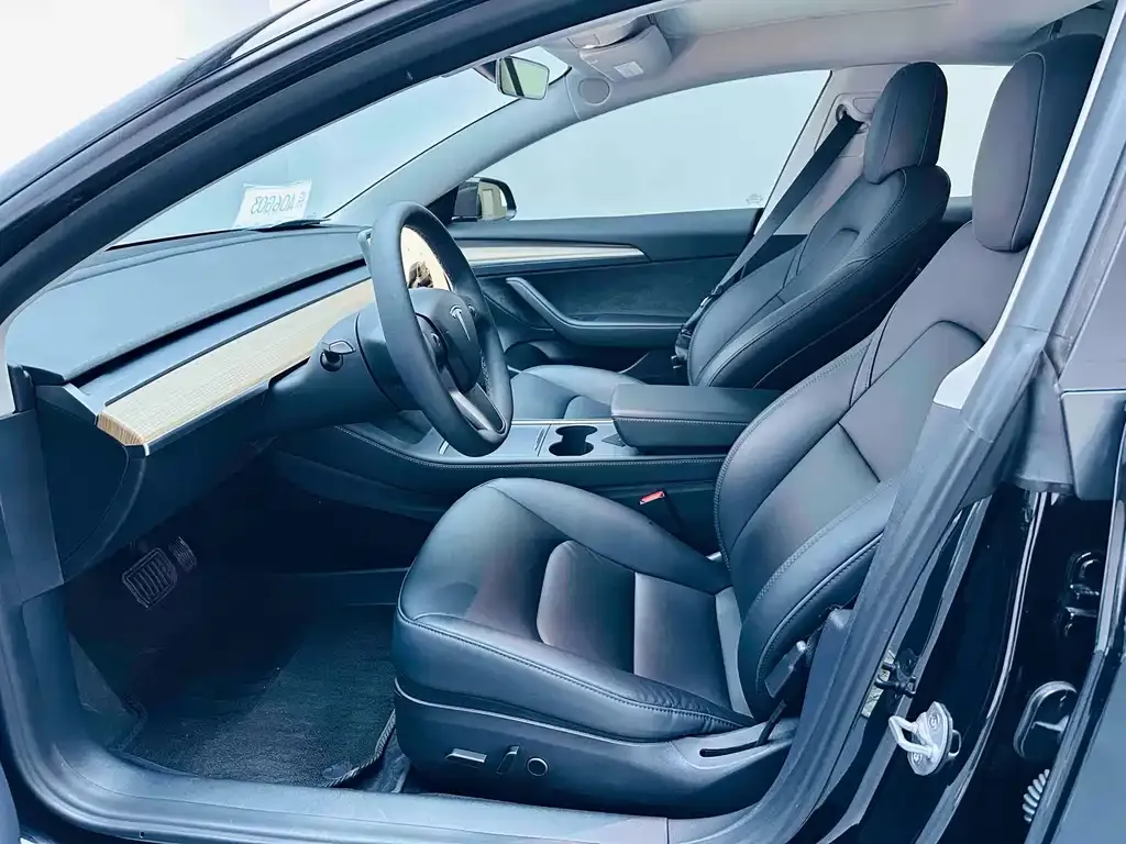 Tesla Model 3 2023 из CN, фото 6