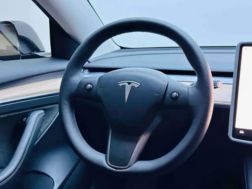 Tesla Model 3 2023 из CN, фото 9
