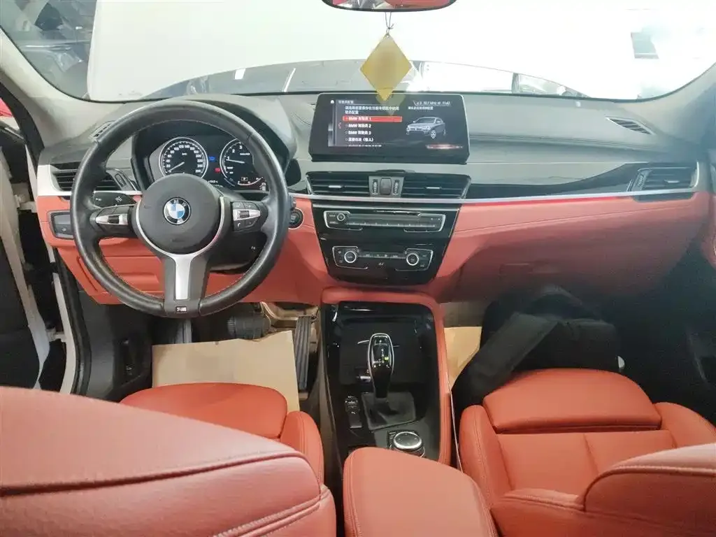 BMW X2 2024 из CN, фото 10
