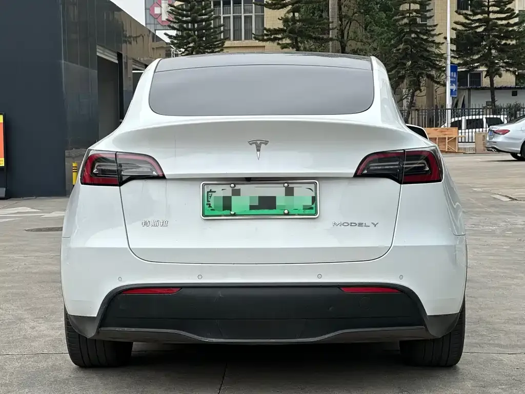 Tesla Model Y 2022 из CN, фото 6